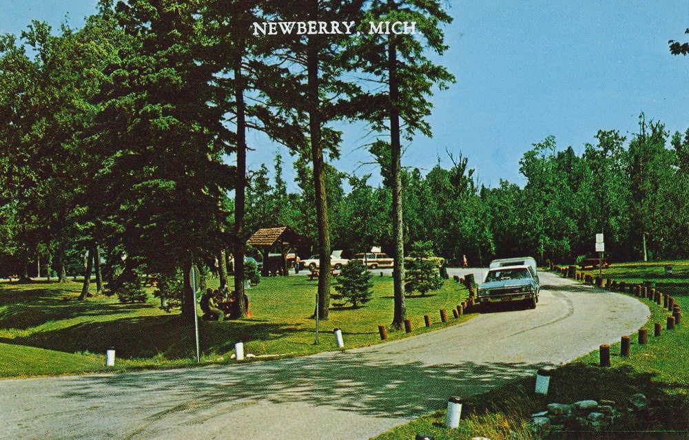 Deer Park Lodge - Vintage Postcard Of Park In Newberry